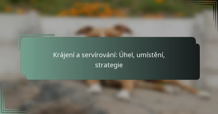 Krájení a servírování: Úhel, umístění, strategie