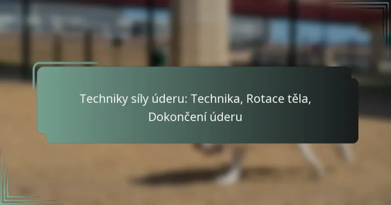 Techniky síly úderu: Technika, Rotace těla, Dokončení úderu
